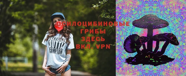 гидропоника Горняк
